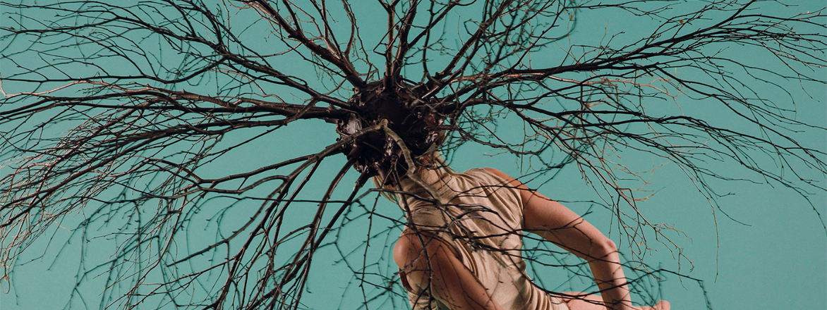 Abstract photo of woman with branch-like hair